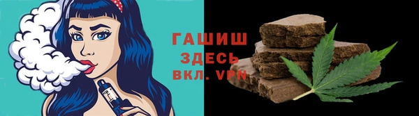 дмт Алексин